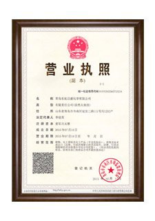 Business license