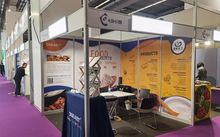 Highlights: Fi Europe 2023